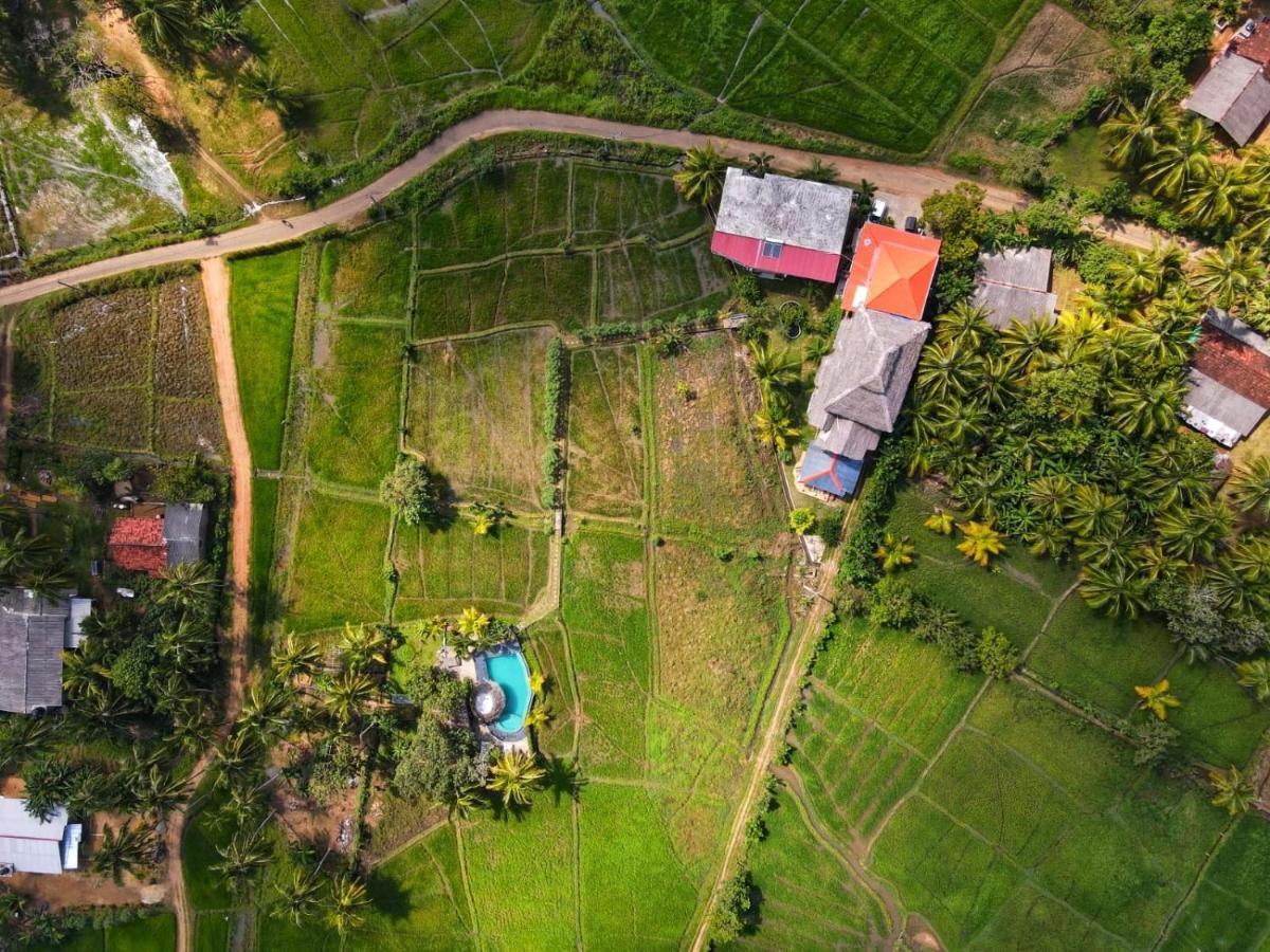 Nelu Villa Sigiriya Dış mekan fotoğraf