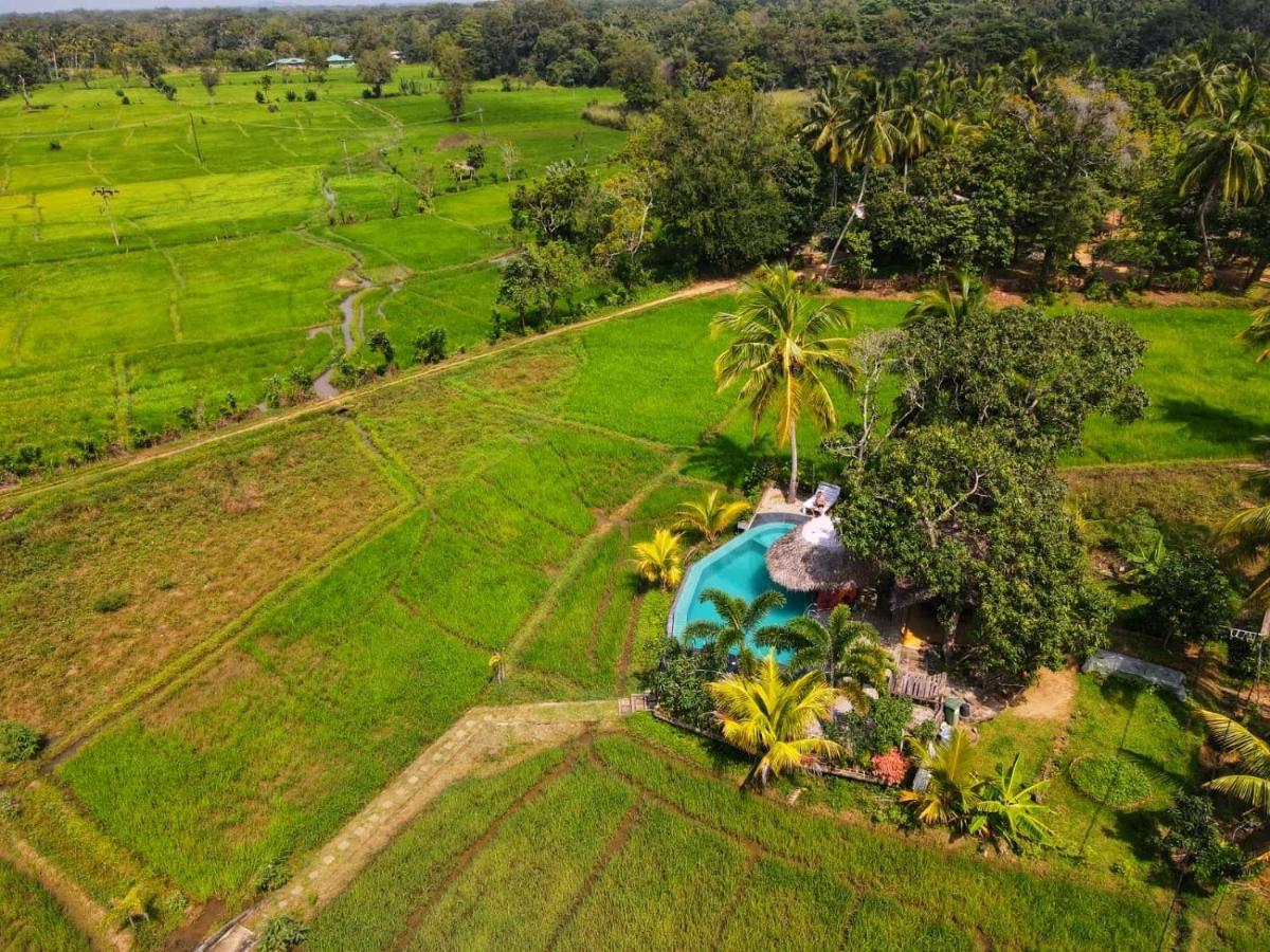 Nelu Villa Sigiriya Dış mekan fotoğraf